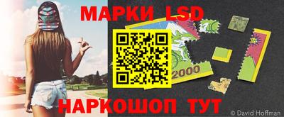 дмт Кимры
