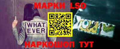 индика Кинель