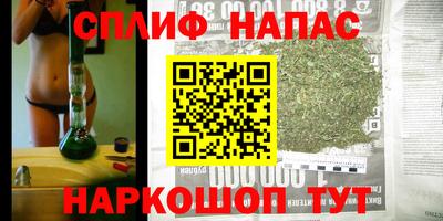 дмт Кимры