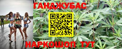 дмт Кимры