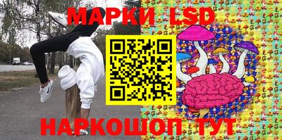 дмт Кимры
