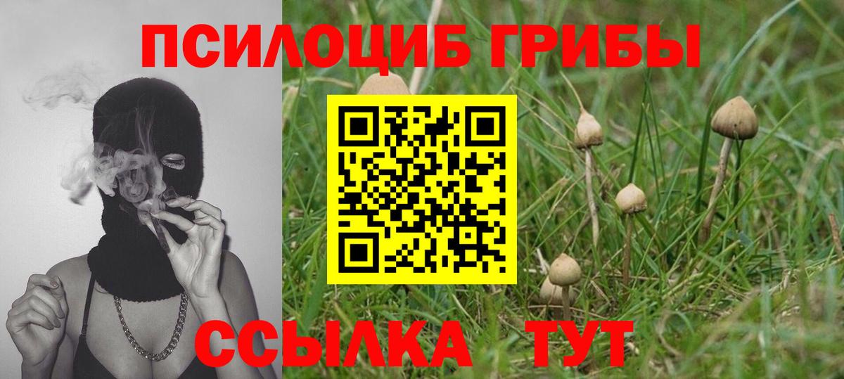 Псилоцибиновые грибы Psilocybine cubensis  Галлюциногенные грибы MAGIC MUSHROOMS  Красноуфимск  Вход с VPN 